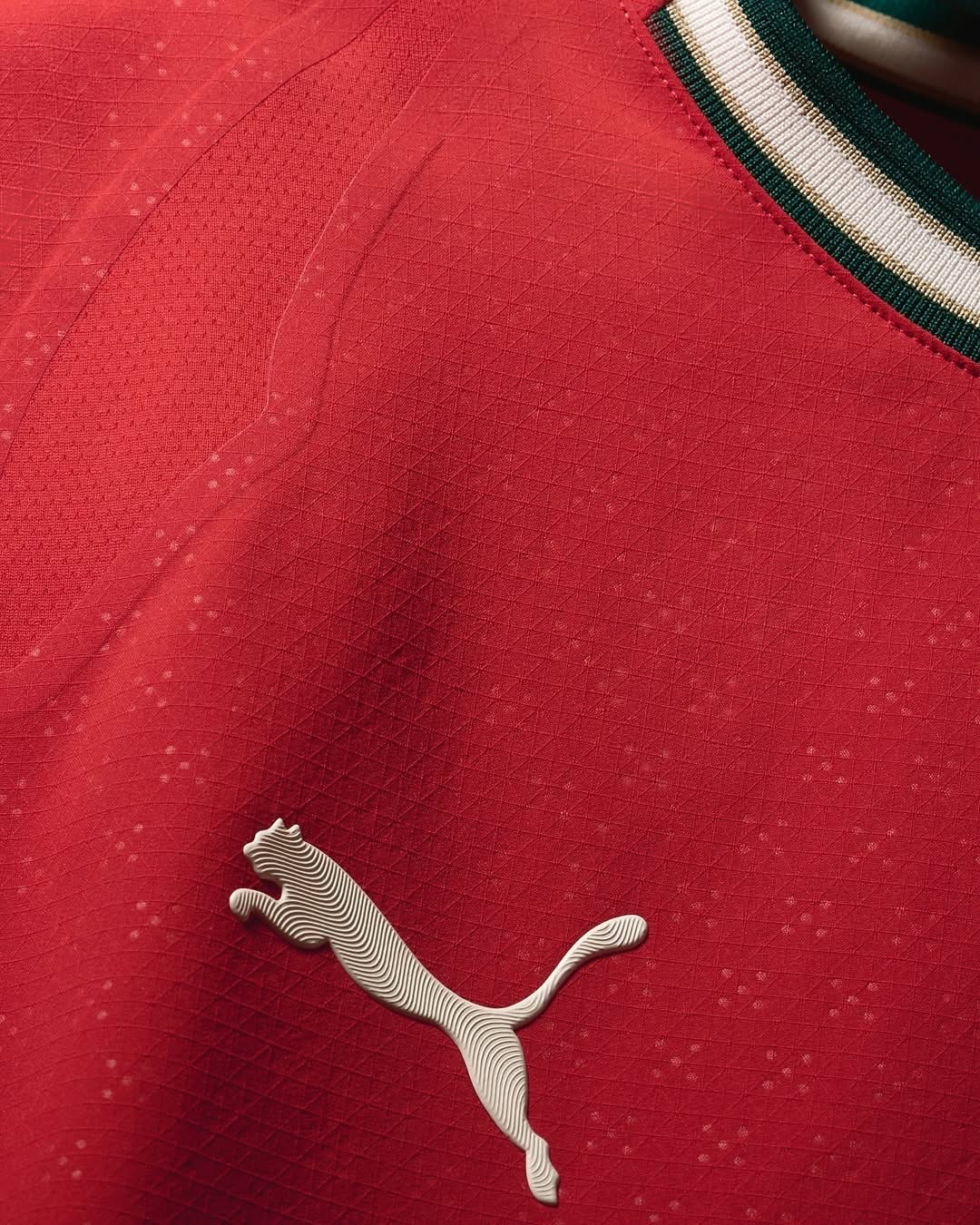 Portugal 2025/26 Home Jersey  (Player Version)