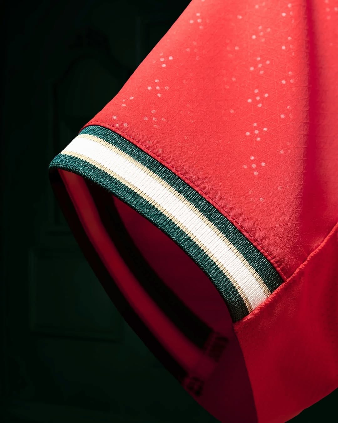Portugal 2025/26 Home Jersey  (Player Version)